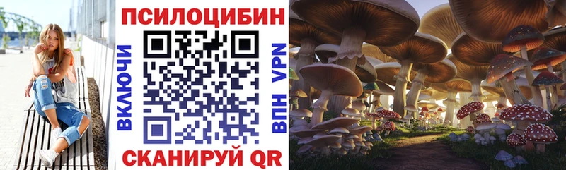 где купить наркотик  Тольятти  Галлюциногенные грибы Psilocybe 